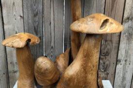 Mushroom group 80cm (Teak)