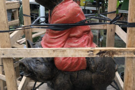 Monk on Pig 60x50cm (Steen)